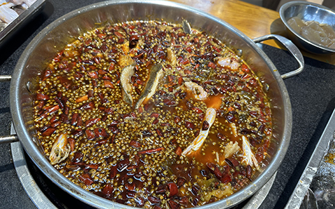 QQ图片20231109200127.jpg